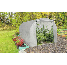 Fóliovník v zahradě s rostlinami