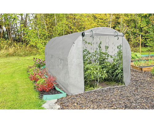 Fóliovník v zahradě s rostlinami