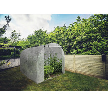 Skleník na zahradě s rostlinami