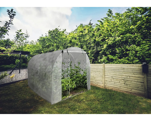 Skleník na zahradě s rostlinami