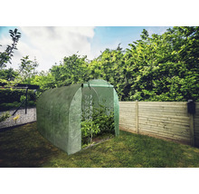 Zahradní skleník s rostlinami na zahradě