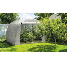 Skleník s rostlinami na zahradě