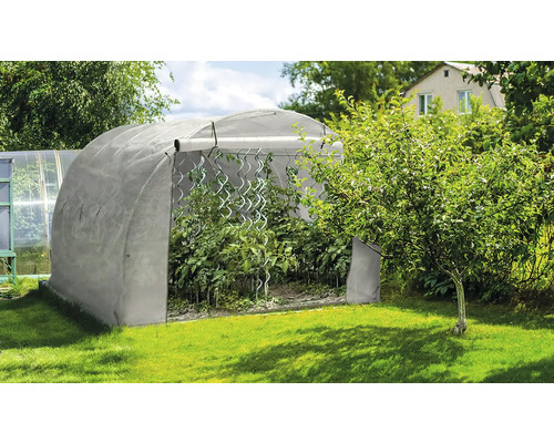 Skleník s rostlinami na zahradě