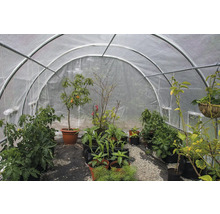 Skleník s různými rostlinami v květináčích