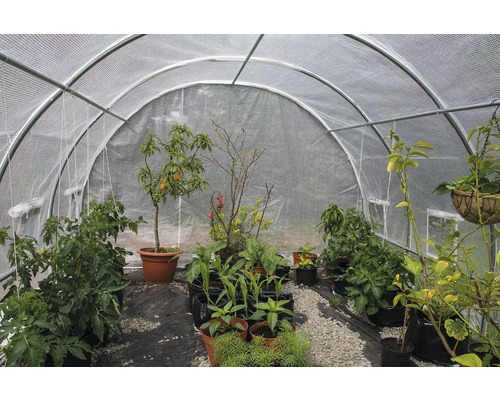 Skleník s různými rostlinami v květináčích