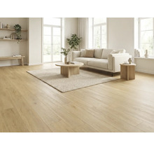 Světlý obývací pokoj s dřevěnou podlahou, pohovkou, kobercem a konferenčními stolky