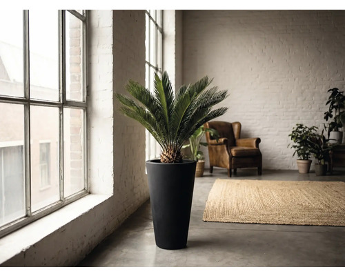 Interiér se zamií v květináči, křeslem a kobercem