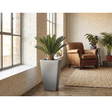 Scéna obývacího pokoje s válcovým květináčem včetně rostliny, křesla a koberce.