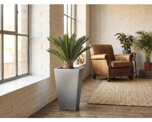 Scéna obývacího pokoje s válcovým květináčem včetně rostliny, křesla a koberce.