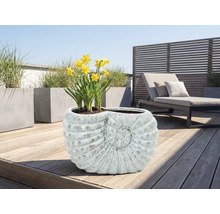 Květináč ve tvaru ulity se žlutými narcisy na terase