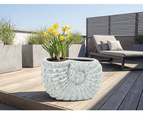 Květináč ve tvaru ulity se žlutými narcisy na terase