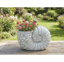 Květináč ve tvaru šneka s kvetoucími květinami na dřevěném stole na zahradě