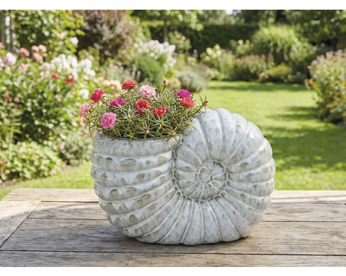 Květináč ve tvaru šneka s kvetoucími květinami na dřevěném stole na zahradě