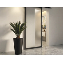 Pohled na pokoj s posuvnými dveřmi, rostlinou v květináči a výhledem do koupelny