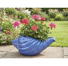 Muškáty v modrém květináči ve tvaru mušle na zahradě.