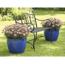 Zahradní lavička s květinami v květináčích na trávníku