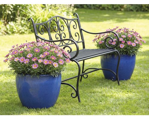 Zahradní lavička s květinami v květináčích na trávníku