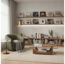 Obývací pokoj s křeslem, konferenčním stolkem a knihovnou pod sbírkou gramofonových desek