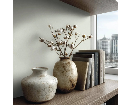 Dvě kropenaté keramické vázy se sušenými bavlníkovými větvemi a řada knih na dřevěné polici před oknem.