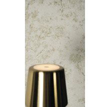 Světlá tapeta s jemným botanickým vzorem větví s texturovaným vzhledem za lesklou kovovou lampou.