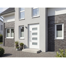 Fasáda domu s vchodovými dveřmi, okny a rostlinami v květináčích