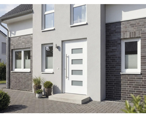 Fasáda domu s vchodovými dveřmi, okny a rostlinami v květináčích