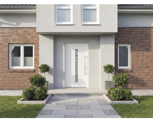 Fasáda domu s vchodovými dveřmi, okny a dlážděným vchodem