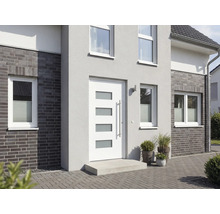 Fasáda domu s vchodovými dveřmi a okny