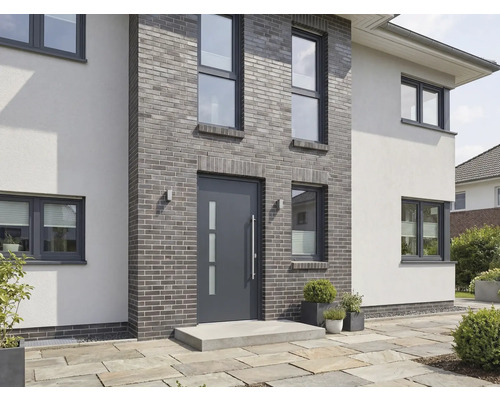 Fasáda domu s vchodovými dveřmi a okny