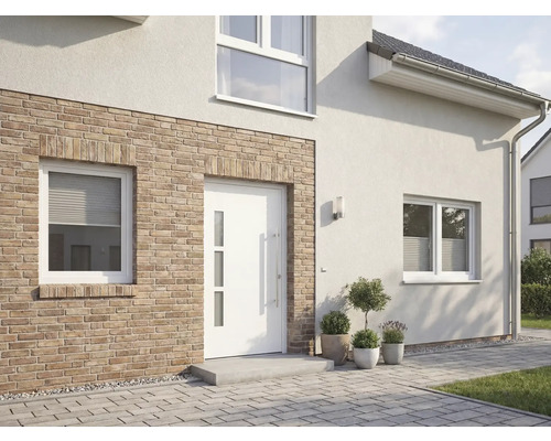 Vnější pohled na dům se vstupními dveřmi a okny