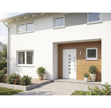 Fasáda domu s vchodovými dveřmi, okny a rostlinami