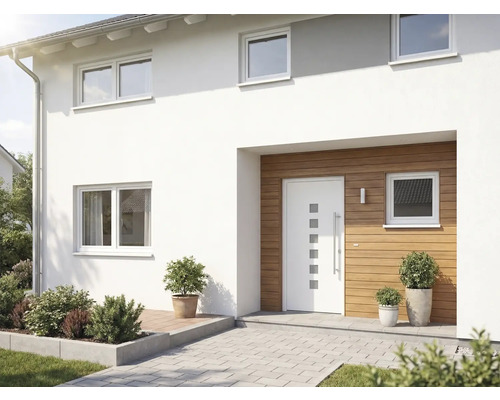 Fasáda domu s vchodovými dveřmi, okny a rostlinami