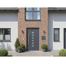 Fasáda domu s vchodovými dveřmi, okny a osázením