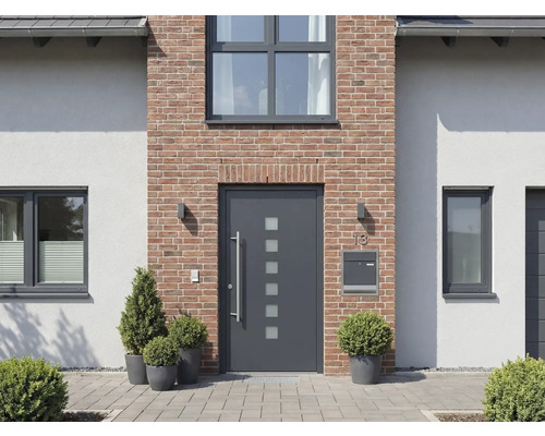 Fasáda domu s vchodovými dveřmi, okny a osázením