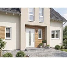 Exteriér domu se vstupními dveřmi a okny