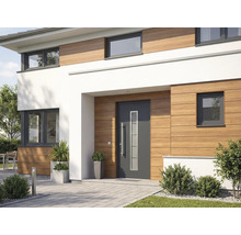 Moderní dům s vchodovými dveřmi, okny a dřevěnou fasádou
