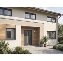 Fasáda domu s vchodovými dveřmi, okny a venkovním prostorem