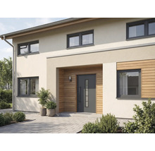 Fasáda domu s vchodovými dveřmi a okny