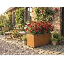 Zahradní scéna s obdélníkovým kovovým truhlíkem osázeným červenými růžemi a posezením se stolem a židlemi na terase před domem.