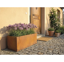 Venkovní fotografie kovového truhlíku před vchodovými dveřmi s dlažebními kostkami.