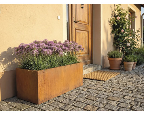 Venkovní fotografie kovového truhlíku před vchodovými dveřmi s dlažebními kostkami.