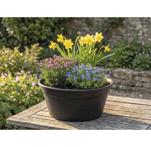 Květinová aranžmá s narcisy, modrými a růžovými květy v květináči na stole venku