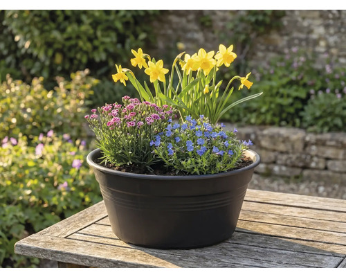 Květinová aranžmá s narcisy, modrými a růžovými květy v květináči na stole venku