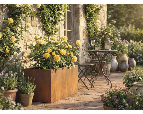 Terasa se žlutými růžemi v kovovém květináči, kovový stůl a židle