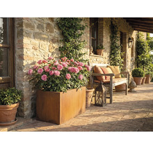 Rustikální terasa s růžemi v květináči a dřevěnou lavicí s polštáři.