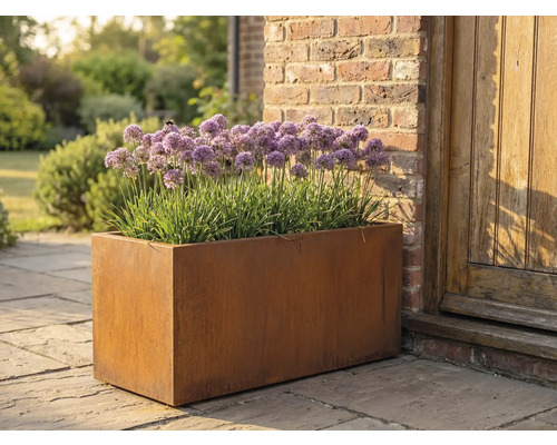 Obdélníkový kovový květináč s rostlinami Allium na zahradě.