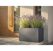 Obdélníkový kovový květináč s levandulí před vchodovými dveřmi