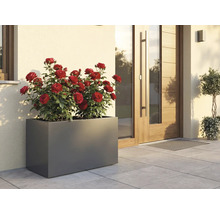 Obdélníkový květináč s červenými růžemi před domem