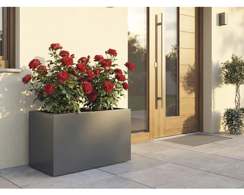 Obdélníkový květináč s červenými růžemi před domem