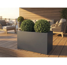 Obdélníkový truhlík se dvěma koulemi buxusu na terase